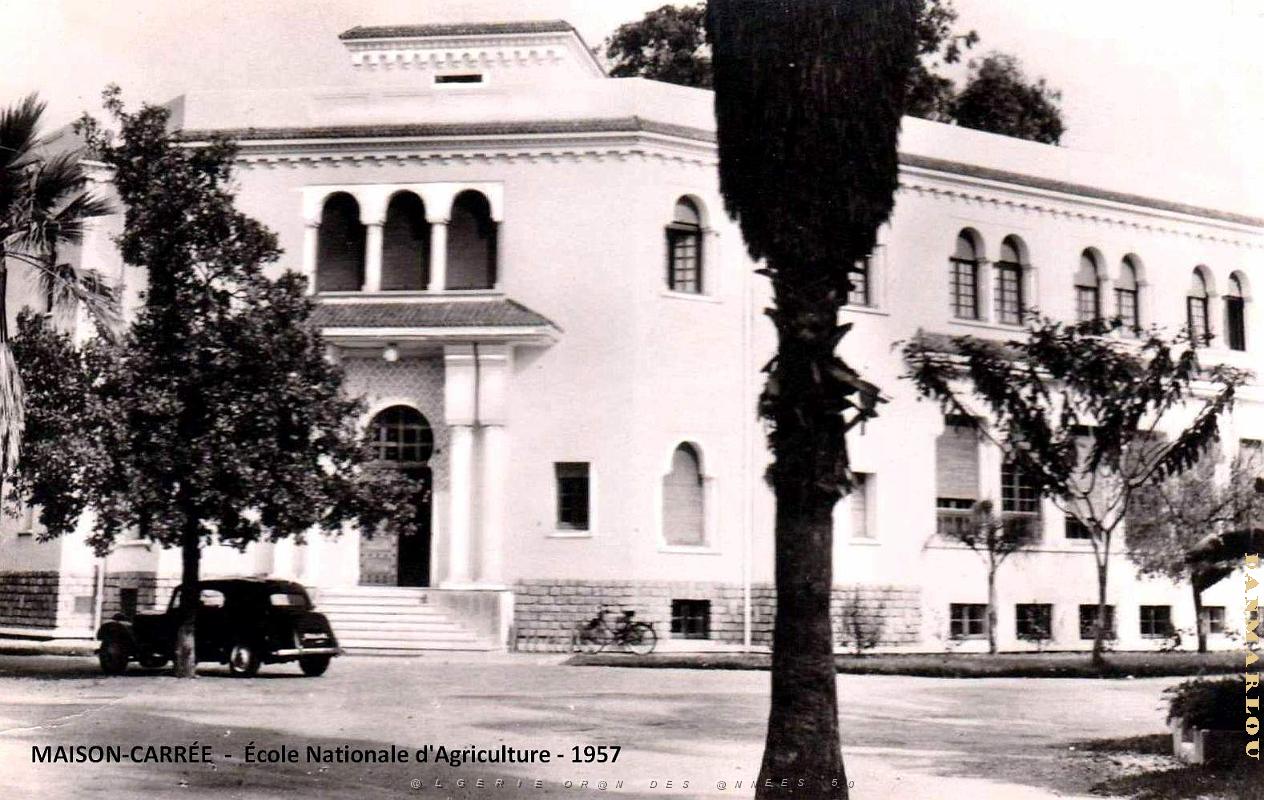 Maison-Carree -  Ecole Nationale d'Agriculture - 1957.jpg